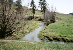 Beaver Creek