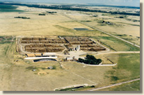 D & M Beef Producers Ltd.