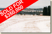 Garry Tabler Land Auction