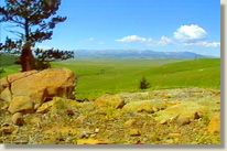 Maurice R. King Estate