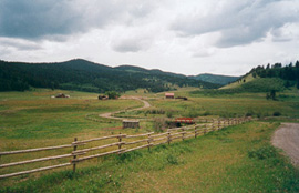 Looking west from road to home quarter