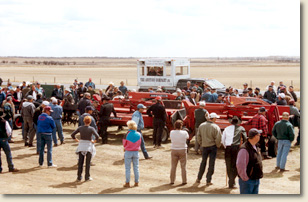 The Auction Company